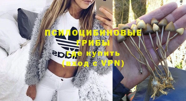 винт Абинск