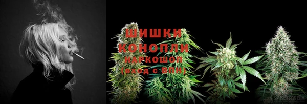 ECSTASY Абаза