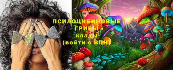ECSTASY Абаза